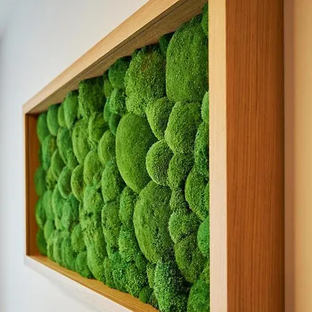 Apartman Rv Olivine Vysoké Tatry